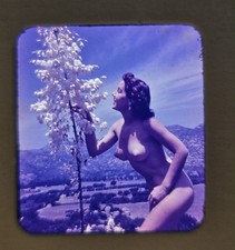 Diapositiva pinup stereo realista 3D vintage donna nuda anni 50