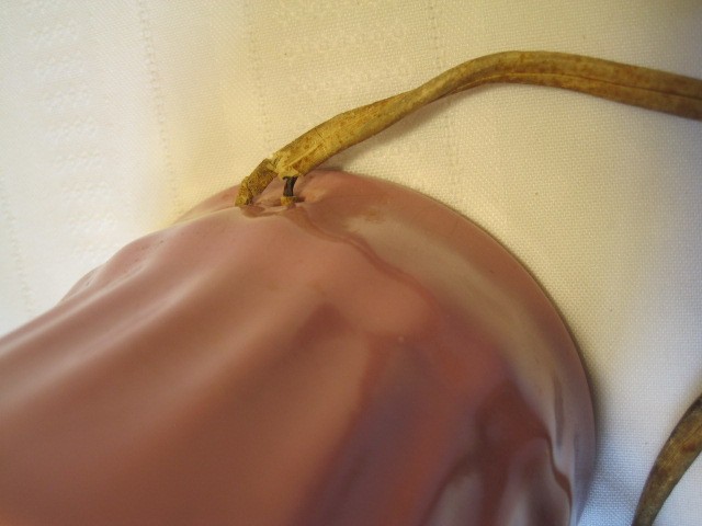 Picture 10 of 13