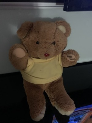 Talk Back Talking Ted vintage plush toy
