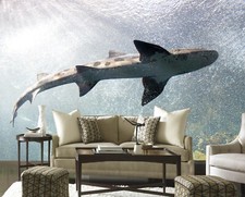 3D Giant Shark ZHUA7654 Wallpaper Wall Murals Removable Self-adhesive Ann 24