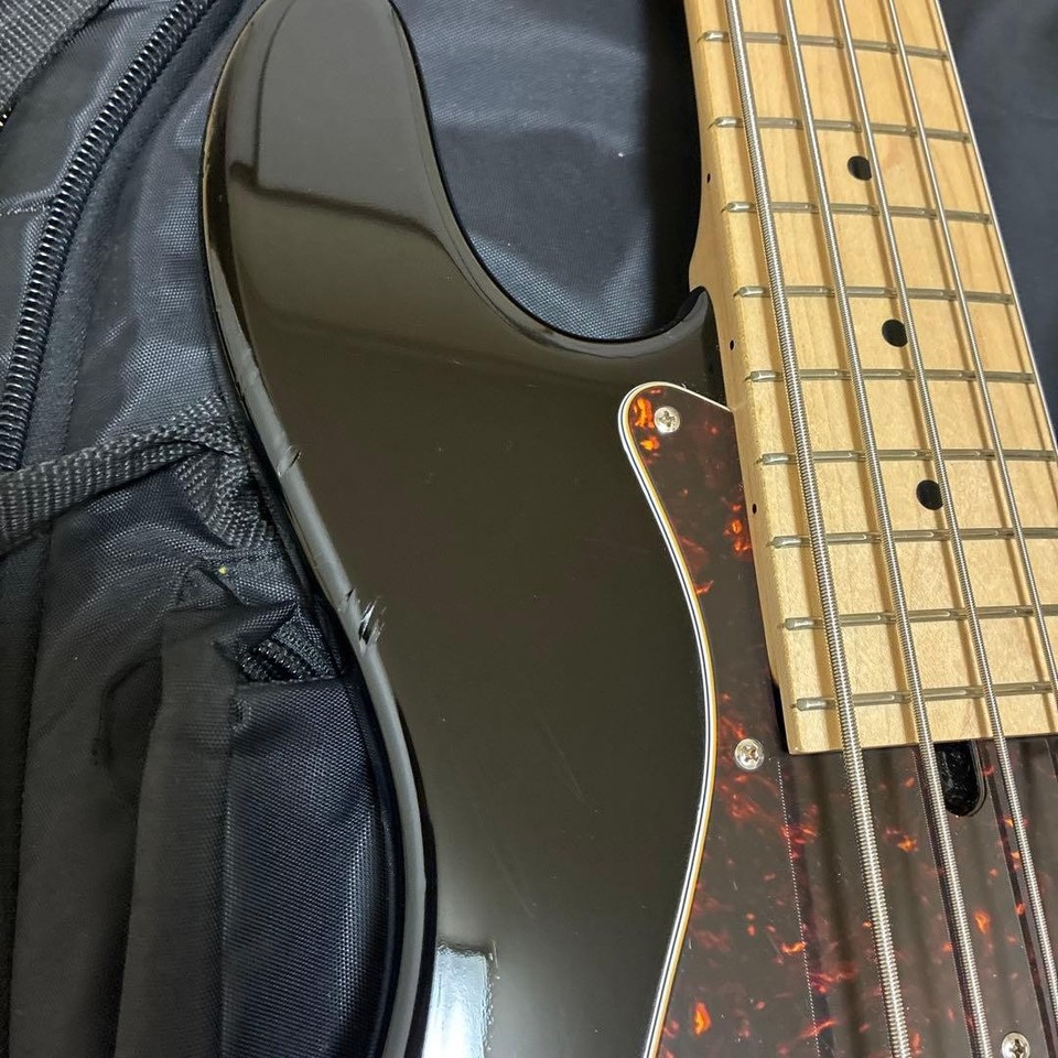 Bacchus Craft Series Woodline 5 String Bass No.MG1228 | eBay