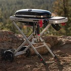 Weber 9010001