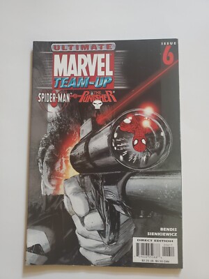 Marvel Team-Up #6, 2001, Spider-Man & Punisher