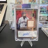 Topps 2023 Diamond Icons Yordan Alvarez Autograph Relic Houston Astros 1/5