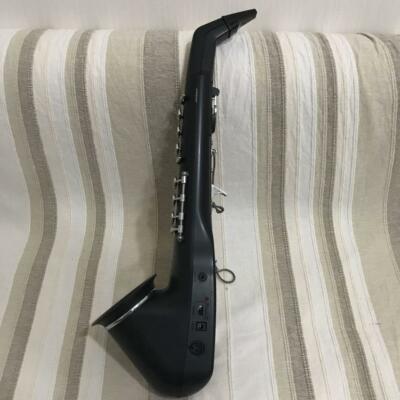 Very Rare! CASIO DH-200 Digital Sax Horn Black | eBay