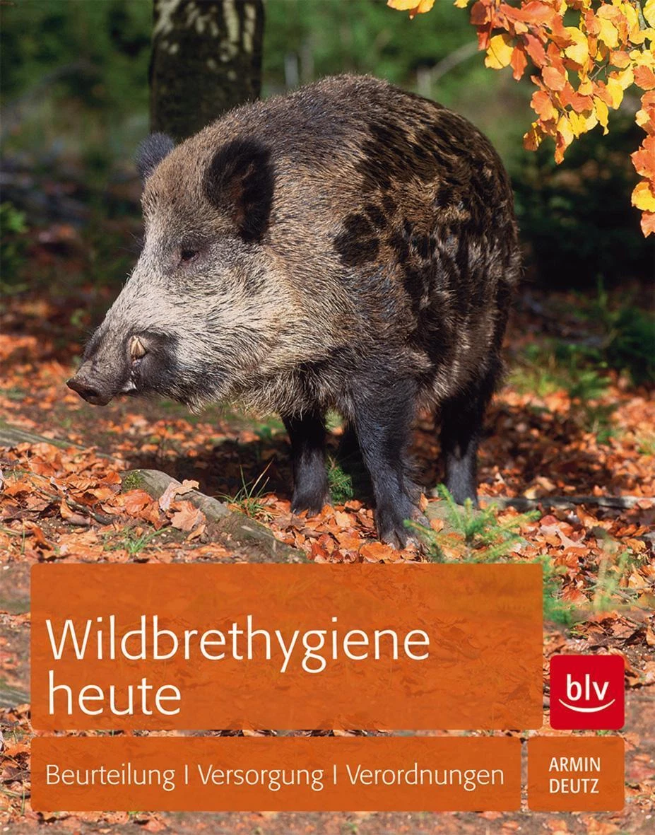 Bild 1 von 1