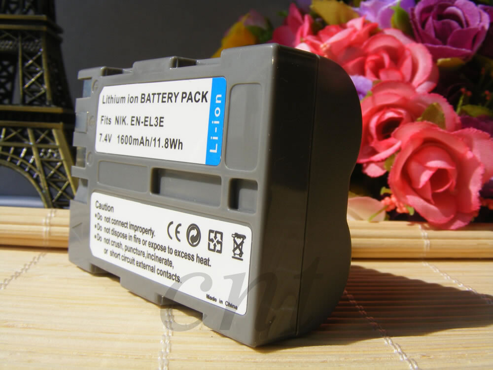 2 Batterie EN-EL3e Li-Ion 1600mAh + Caricabatterie USB Per Nikon D80 D300 D700 D90 D70s