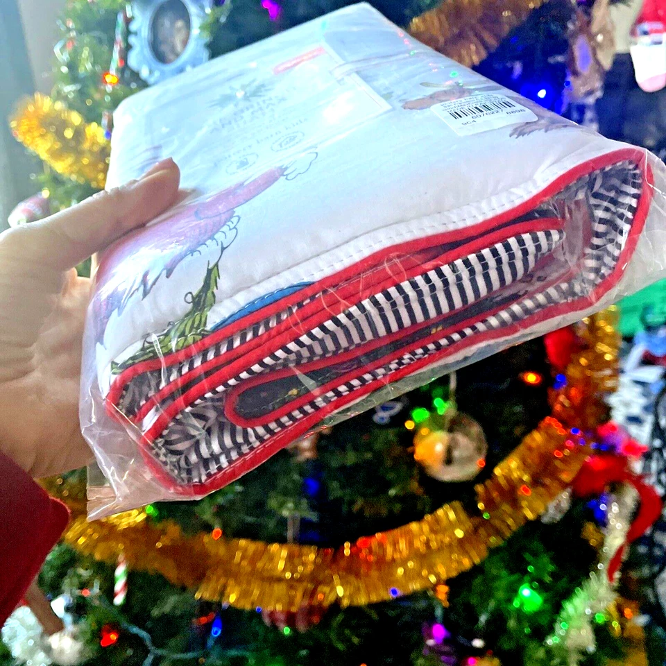 Disney Pottery Barn Grinch Almohada de Navidad Sham Dr Seuss Fiesta de Regalo de Vacaciones, Foto 4 de 4