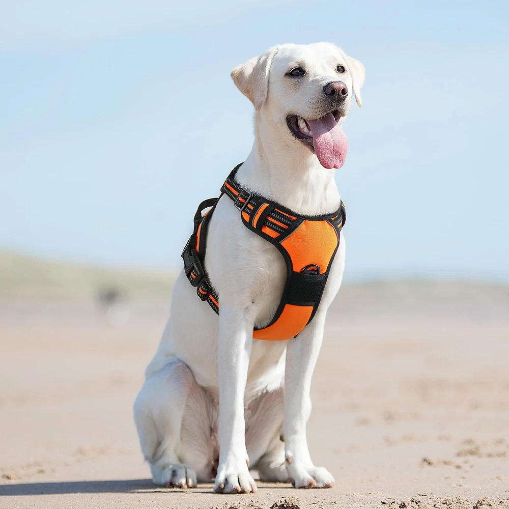 Dog Harness for Large Dogs, No Pull Service Vest with Reflective Strips and C...