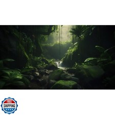 Foggy Forest Terrarium Background Stone Green Tree Stream Scenery Tropical Ra