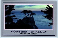 Monterey Peninsula - The Lone Cyprus night scene - CALIFORNIA 4x6 Postcard