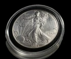 2004 $1 American Silver Eagle 1 oz Uncirculated Coin Enclosed in Coin Holder