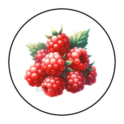 Raspberries Fruit Garden stickers labels tags envelope seals 