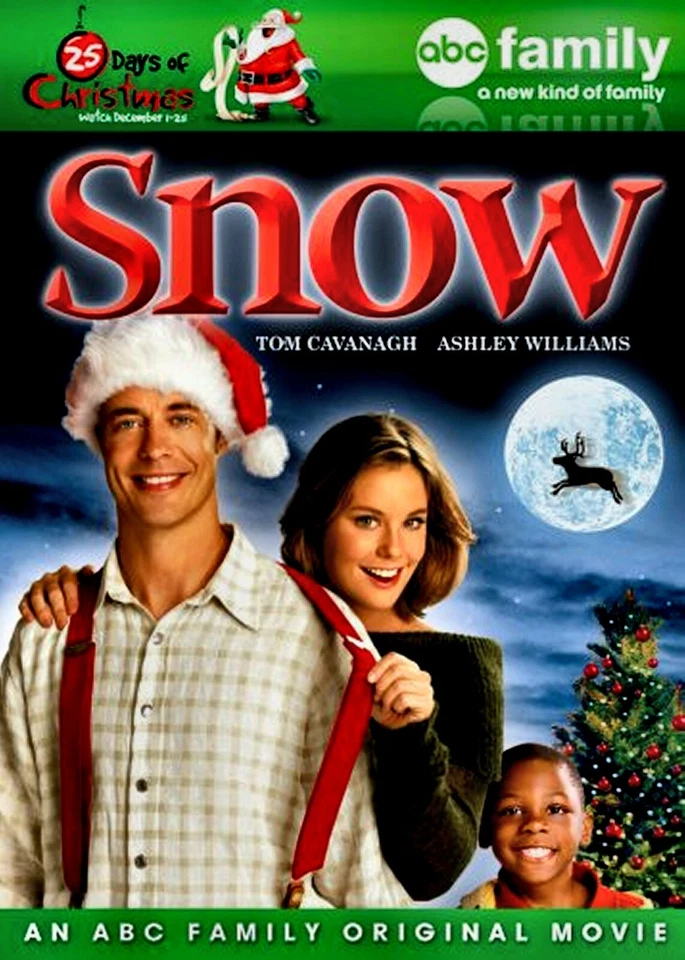 Snow - Tom Cavanagh , Ashley Williams - Family Channel Christmas Comedy- New DVD