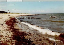 40001892 - 2322 Behrensdorf Beach Lighthouse