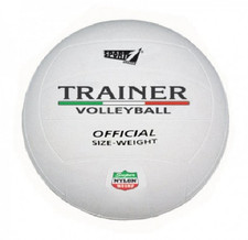 Pallone Volley Trainer misura 5 