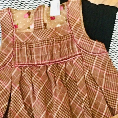 Gap Kids Girl brown velour velvet tweed brown tan floral winter dress 4 school