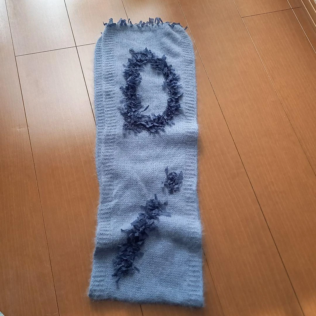 Silencieux Christian Dior logo bleu rangement maison accessoires hiver quasi inutilisés