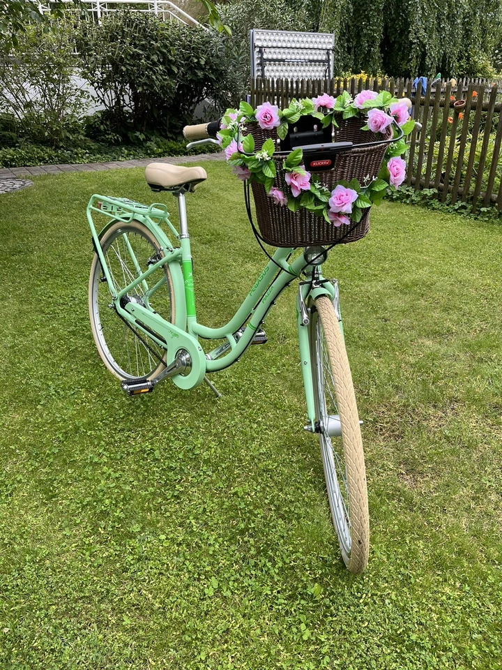 Neuwertig!: Pegasus Piazza Tour City Bike 28 Zoll Damenfahhrad in schönem Minze - Bild 3 von 4