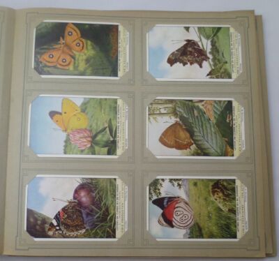 Liebigbilder Niederlande ''Letters en cijfers bij de Vlinders''komplett (14/ Di 03