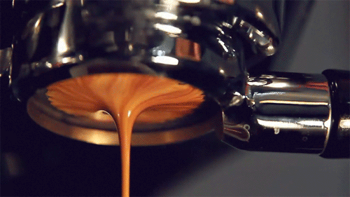 Motta Convex Stainless Coffee Tamper ø 58mm Wood Handle Commercial machines E61 - Picture 4 of 4