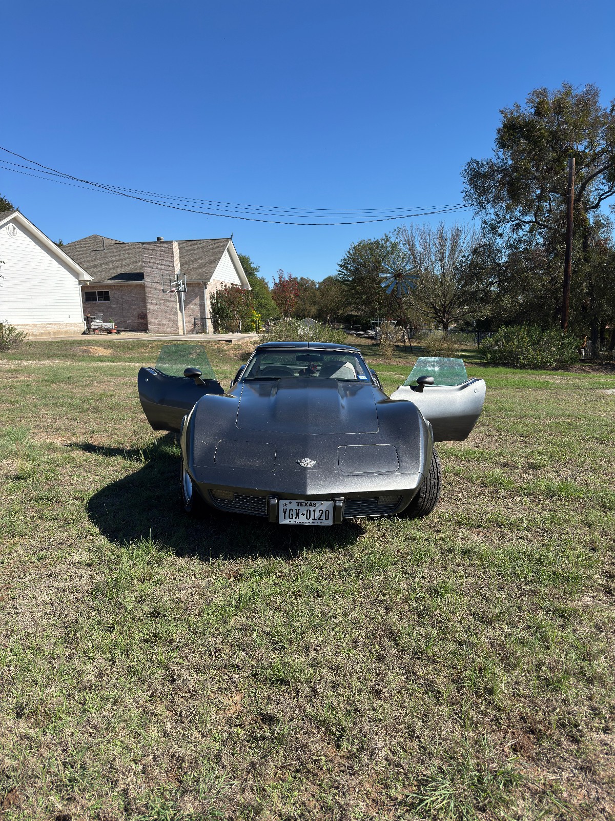 1978 Silver Chevrolet Corvette   | C3 Corvette Photo 4