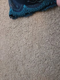 Brand New, Lise Charmel Navy Underwired Bra Crystal  Size Uk 32C  New 