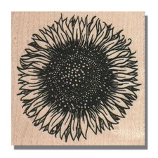 NEW Mounted Rubber Stamp, SUNFLOWER, Flower,Garden,Nature,Summer,Spring,Bloom,lg