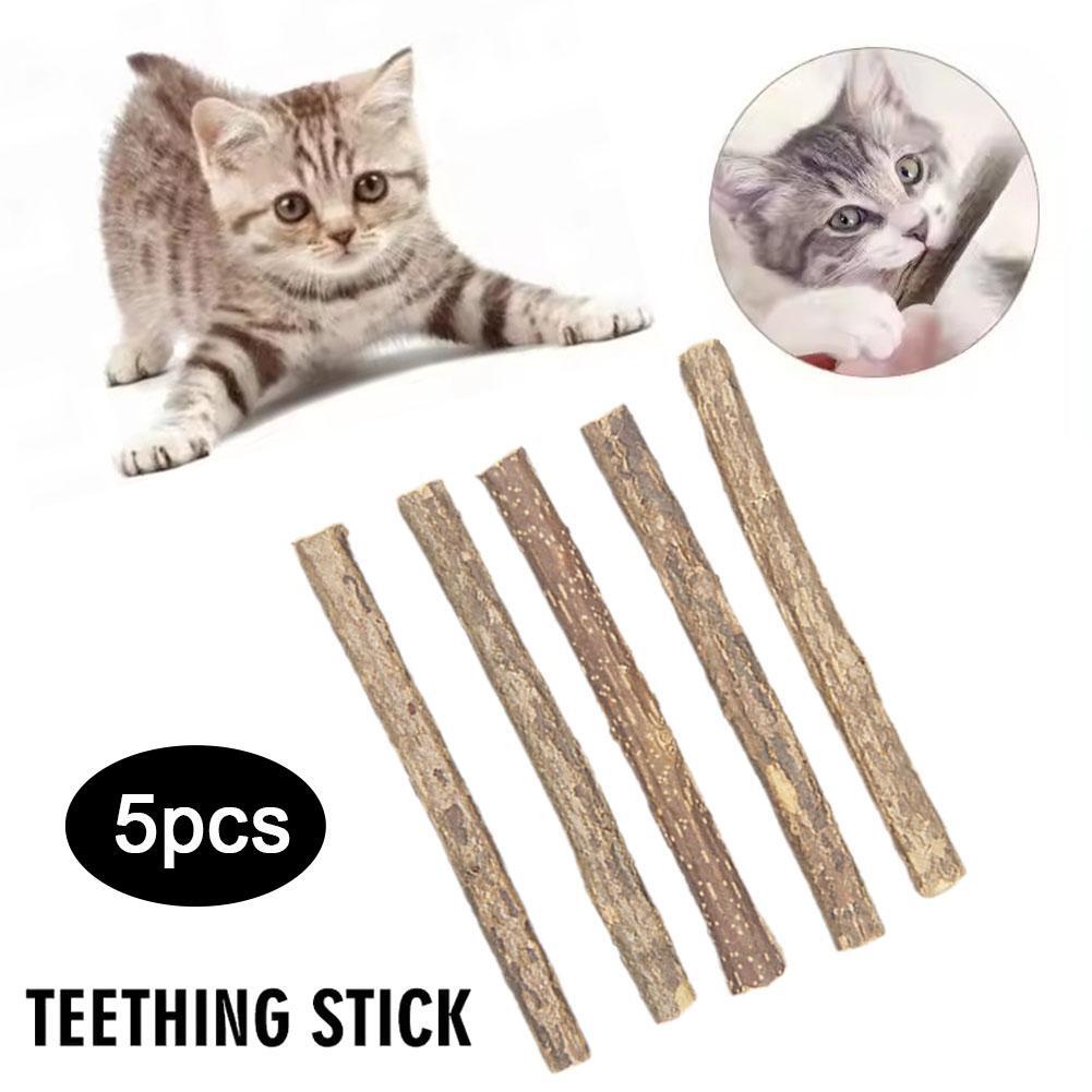 How to Remove Dried Blood from Cat Fur Quickly and Safely