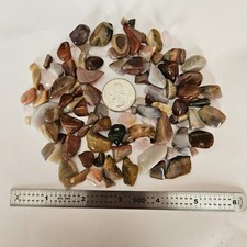 Tumbled Polished Gemstones. Glossy Small size random pull. 110 gram lot. 1245-
