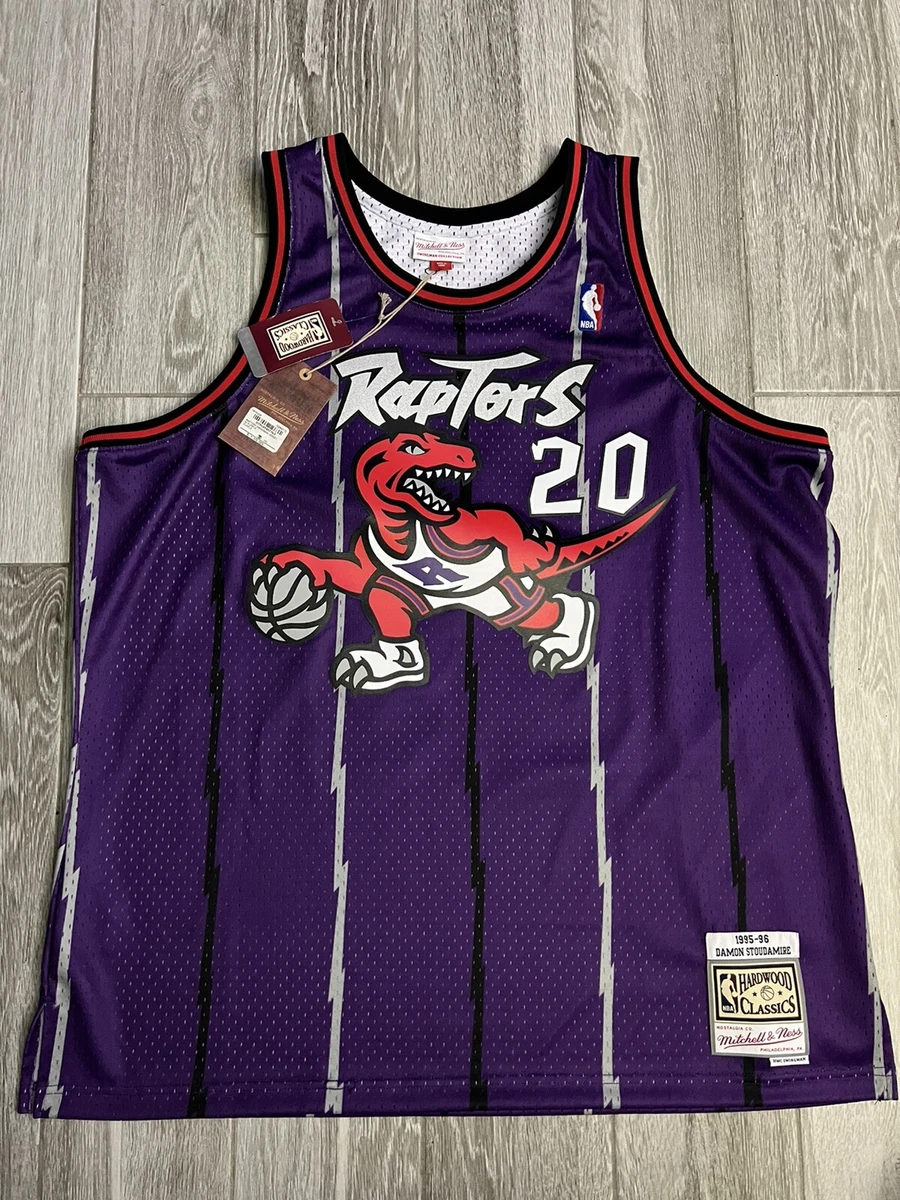 Men's Mitchell & Ness Damon Stoudamire Purple Toronto Raptors 1995-96  Hardwood Classics Swingman Player Jersey