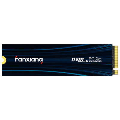 Fanxiang 2TB M.2 NVMe Gen4 Highspeed SSD PS5 Interne Gaming Festplatte 7100MB/s