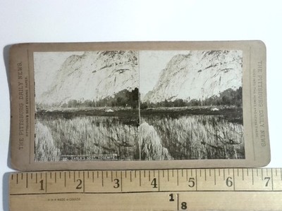 Eagle's Nest Yosemite Stereoview The Pittsburg Daily News 1900s Landscape