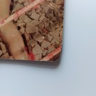 Bild 2 von 12