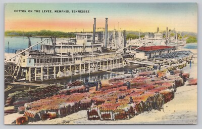 Postcard Bales of Cotton on the Levee Memphis Tennessee Steamship c1940s