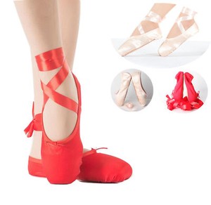 pointe ballet shoes ebay