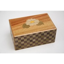 是真 双童子画 保存箱 MA872 Japanese Puzzle Boxes 1900-Now | eBay