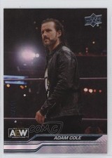 2024 Upper Deck AEW All Elite Wrestling Steel Cage 151/249 Adam Cole #57 0n3f