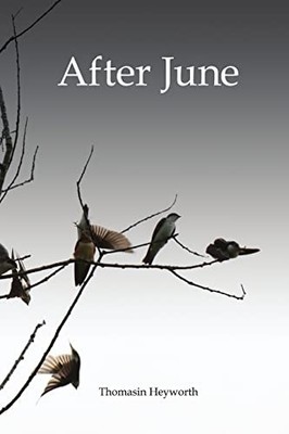 After June by Thomasin Heyworth (2014, Trade Paperback)