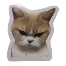 Funny Cat Face Angry Dirty Look Kitty Sticker Decal Laptop Phone Fashion 1.25"