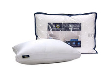 seasons down pillow