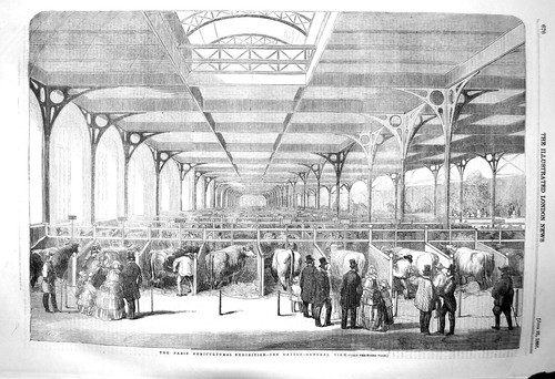 Original Old Antique Print 1856 Paris Agricultural Exhibition Cattle Animals