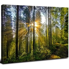 Green Forest Wall Art for Living Room Decor Mountain Landscape Canvas Pictures