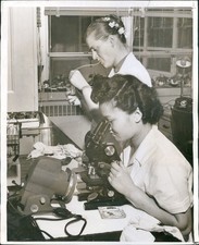 1956 Joan Katherine Brand Leo John Joseph Thomas Grantsburg Mantilla Photo 8X10