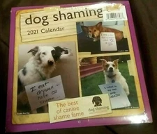Dog Shaming 2021 MINI WALL CALENDAR 7" x 14" open