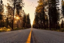 Digital Image Picture Photo Pic Wallpaper Background Asphalt Road Trees Sunset