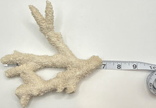 Natural coastal reef Decor Approx. 6.75