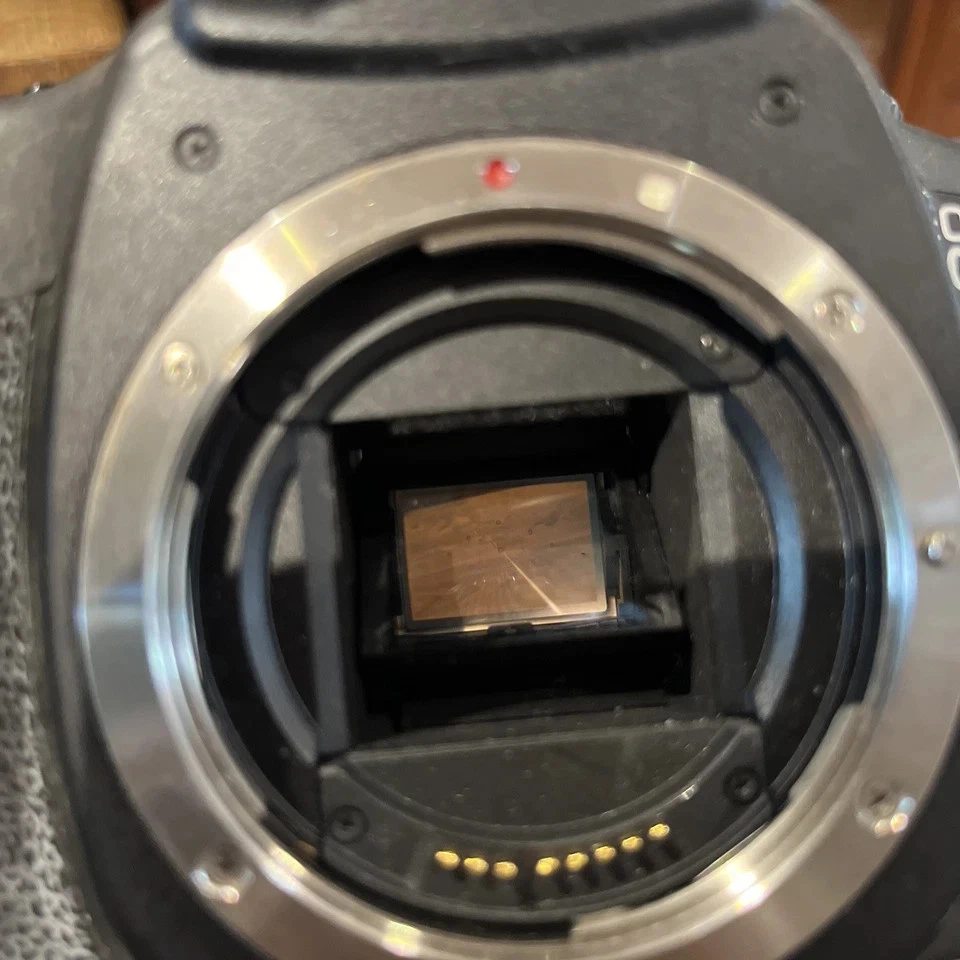 Canon EOS 20D, foto 4 di 5
