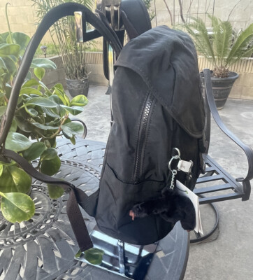 Kipling Zakaria Travel Backpack Polyamide Varsity Strap  display picture 1