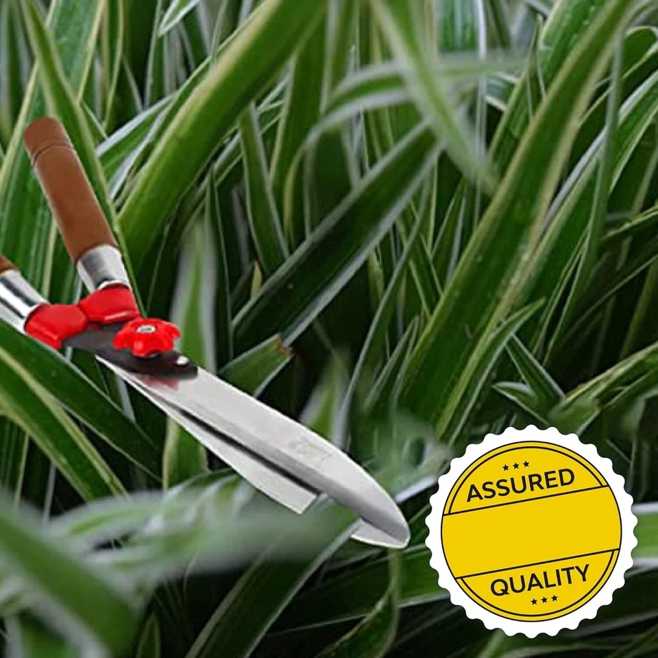 Hedge Shears for Gardening - 1 Pc (Metal) Hedge Pruner Shear Cutter with Wooden - Image 2 of 4